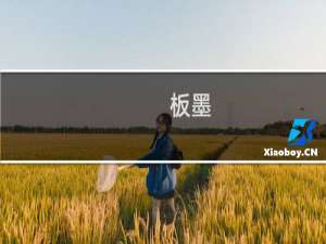 板墨(关于板墨的简介)
