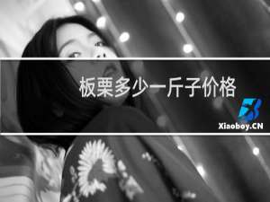 板栗多少一斤子价格