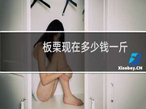 板栗现在多少钱一斤