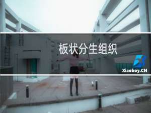 板状分生组织(关于板状分生组织的简介)
