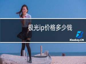 极光ip价格多少钱