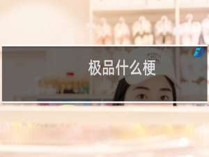 极品什么梗