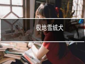 极地雪绒犬(关于极地雪绒犬的简介)