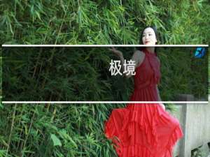 极境(关于极境的简介)