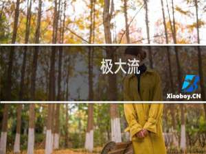 极大流(关于极大流的简介)