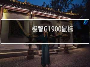 极智G1900鼠标(关于极智G1900鼠标的简介)