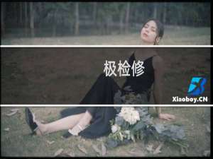 极检修(关于极检修的简介)