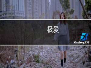 极爱(关于极爱的简介)