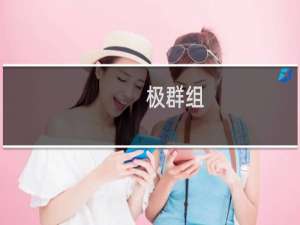 极群组(关于极群组的简介)
