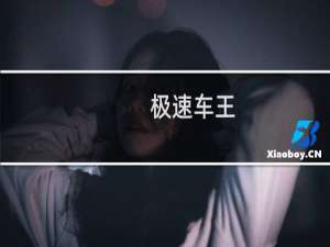 极速车王(关于极速车王的简介)