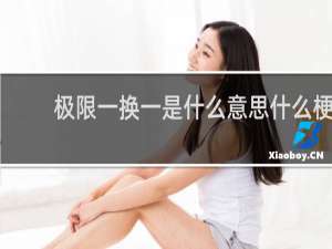 极限一换一是什么意思什么梗