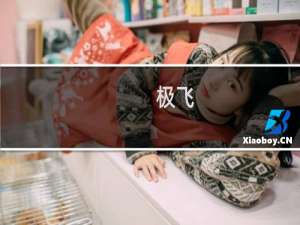 极飞(关于极飞的简介)
