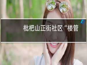 枇杷山正街社区“楼管家”志愿服务队(关于枇杷山正街社区“楼管家”志愿服务队的简介)