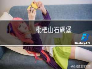 枇杷山石碉堡(关于枇杷山石碉堡的简介)