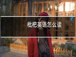 枇杷英语怎么读