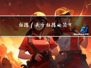 枉攘(关于枉攘的简介)
