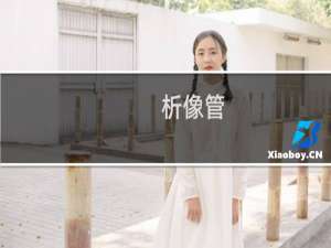 析像管(关于析像管的简介)