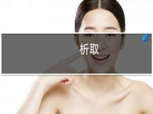 析取[词](关于析取[词]的简介)