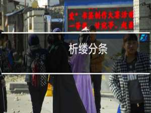 析缕分条(关于析缕分条的简介)