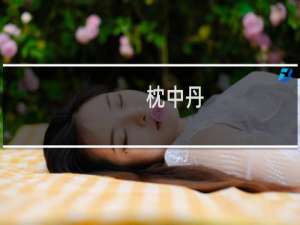 枕中丹(关于枕中丹的简介)