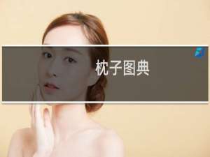 枕子图典(关于枕子图典的简介)