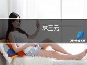林三元(关于林三元的简介)