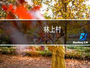 林上村(关于林上村的简介)