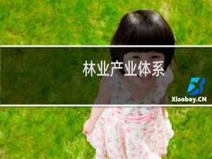 林业产业体系(关于林业产业体系的简介)