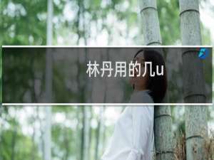 林丹用的几u