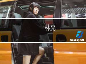 林亮(关于林亮的简介)