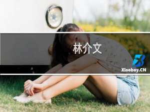 林介文(关于林介文的简介)