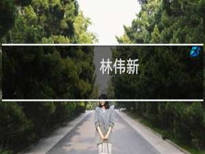 林伟新(关于林伟新的简介)