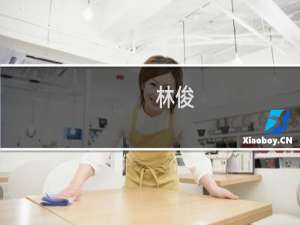林俊(关于林俊的简介)