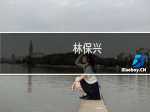 林保兴(关于林保兴的简介)