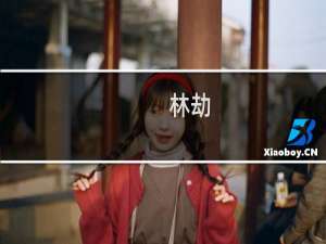 林劫(关于林劫的简介)
