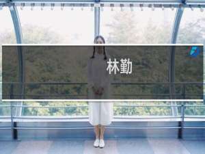 林勤(关于林勤的简介)