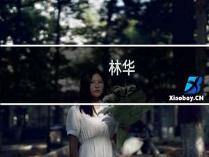 林华(关于林华的简介)