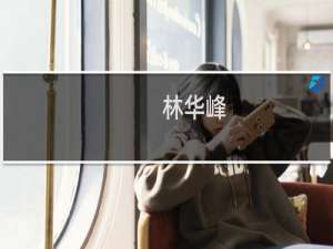 林华峰(关于林华峰的简介)