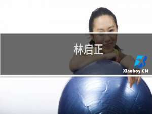 林启正(关于林启正的简介)