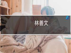 林善文(关于林善文的简介)