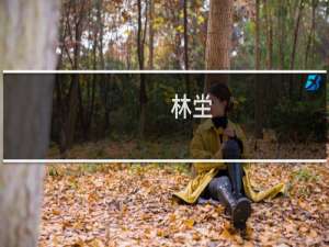 林坣(关于林坣的简介)