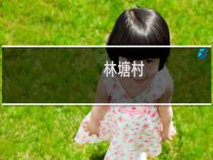 林塘村(关于林塘村的简介)