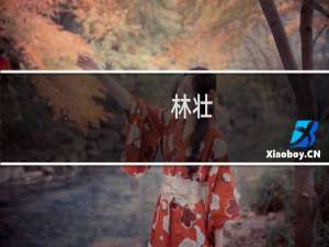 林壮(关于林壮的简介)