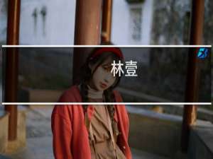 林壹(关于林壹的简介)