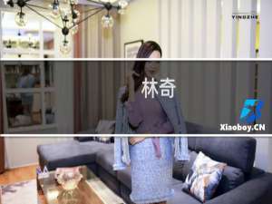 林奇(关于林奇的简介)
