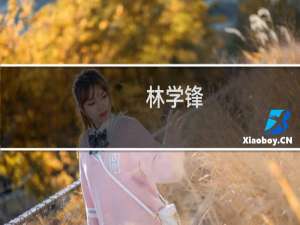 林学锋(关于林学锋的简介)