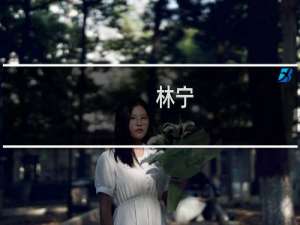 林宁(关于林宁的简介)
