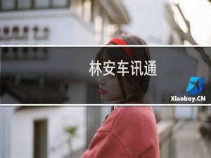 林安车讯通(关于林安车讯通的简介)