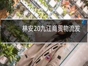 林安 九江商贸物流发展有限公司(关于林安 九江商贸物流发展有限公司的简介)
