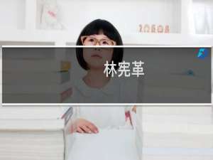 林宪革(关于林宪革的简介)